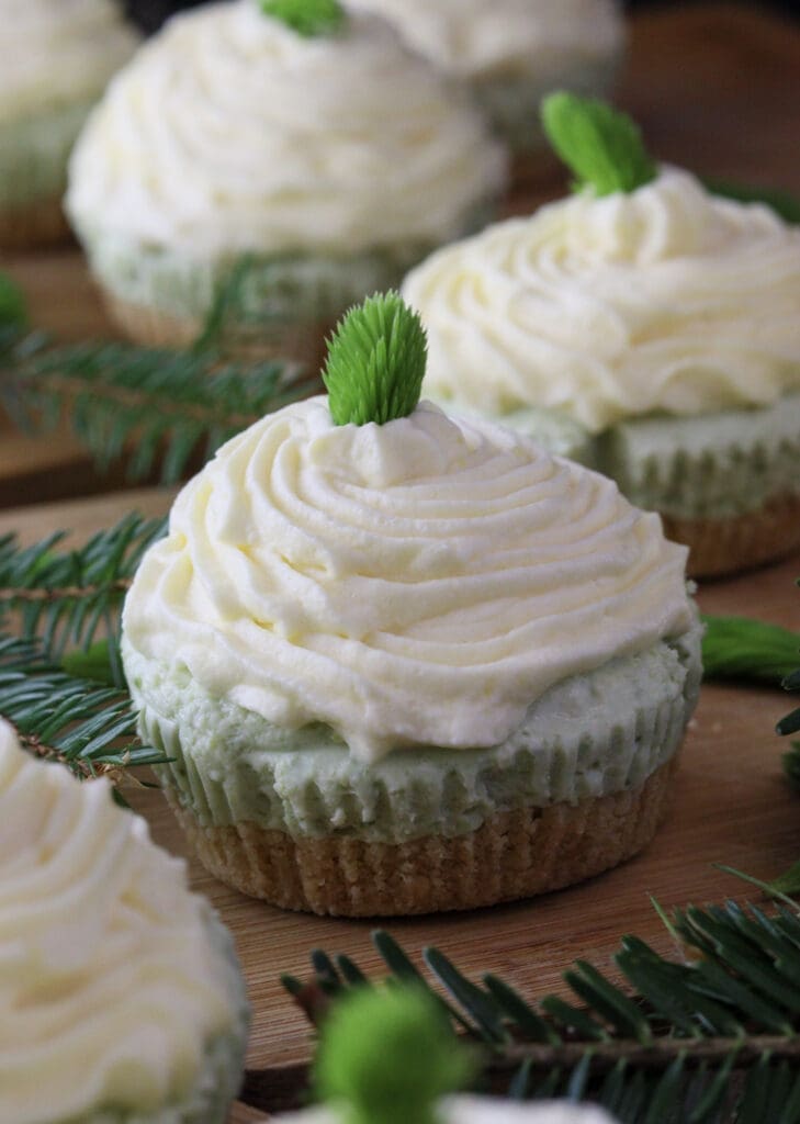 A delightfull spruce tip cake with lemon topping and fresh spruce tip.